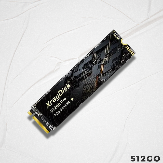 M.2 XRAYDISK 512 Go NVME