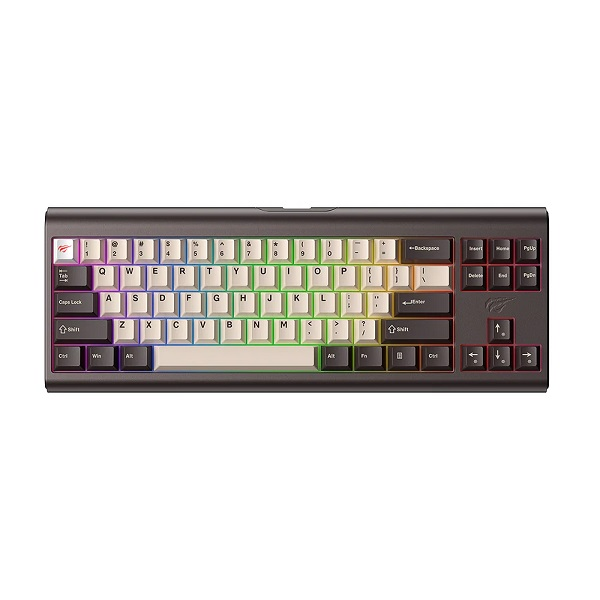 CLAVIER GAMER HAVIT KB896 filaire mecanique 70%