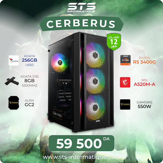 PC DE BUREAU RYZEN 5 3400G / A520 MSI / ADATA D35 8G 3200 /SSD 256 ADATA U650 /GAMDIAS 550W/AURA GC2